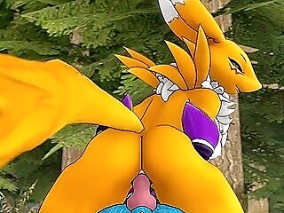 Renamon And Lucario